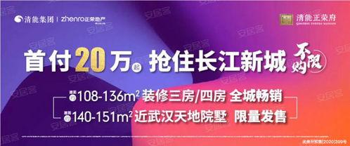武汉热门新闻爆料视频,揭秘背后真相，聚焦城市焦点事件